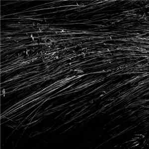 Gianluca Favaron + Stefano Gentile - Entretien download free