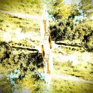 Greatwaves - The Shore / Into The Blue download free
