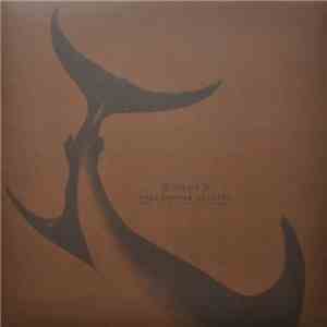 Witxes, Dale Cooper Quartet And The Dictaphones - Split download free
